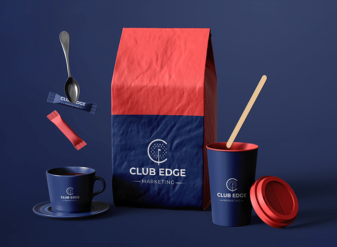 a forest after an apocalypse